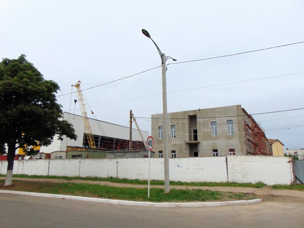 DSC00803