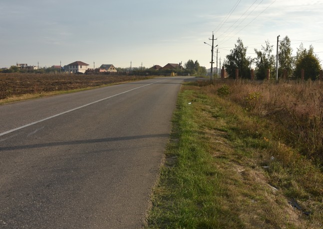 DSC_1465 (1)