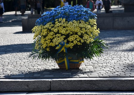 DSC_9303 (1)