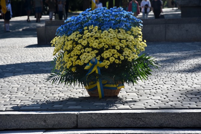 DSC_9303 (1)