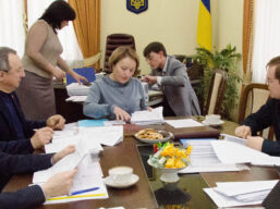 В полі зору комісії