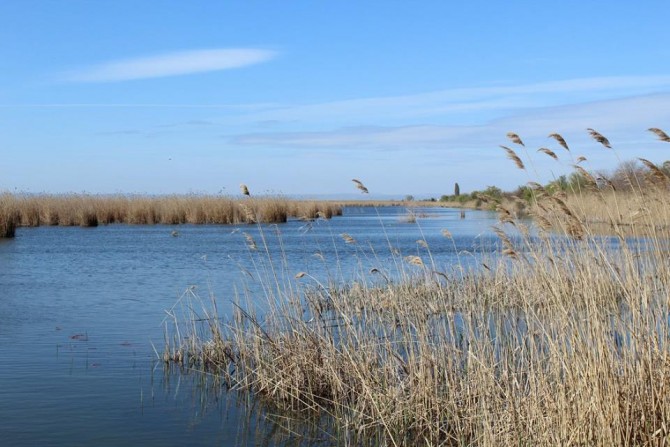 Кургулуй