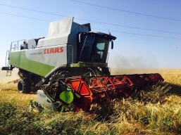 На Одещині набирає обертів жнивна кампанія ранніх зернових культур.