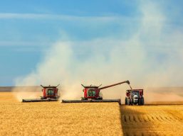 Привітання з Днем працівників сільського господарства України