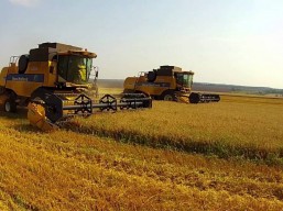 У сільгосппідприємствах Одещини завершуються жнива